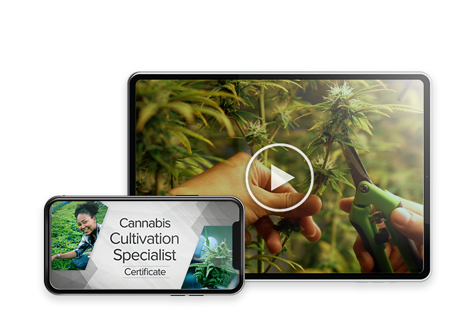 Cannabis Cultivation Specialist Program Webinar